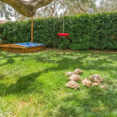 Josip Апартаменти *