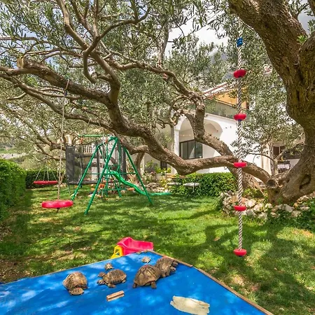 Josip * מאקרסקה